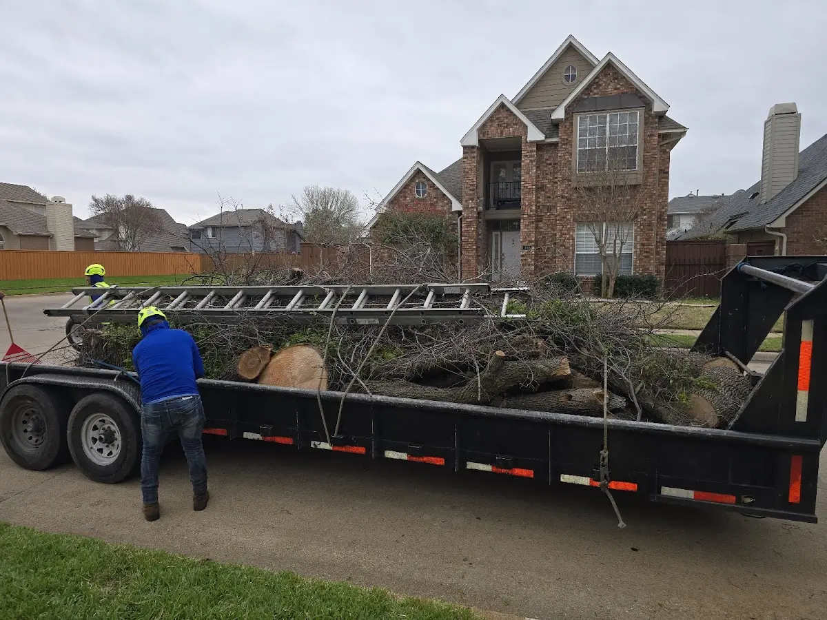 Expert Tree Fertilization with proper safety equipment in Creighton
